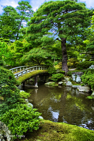 Kyoto #4566